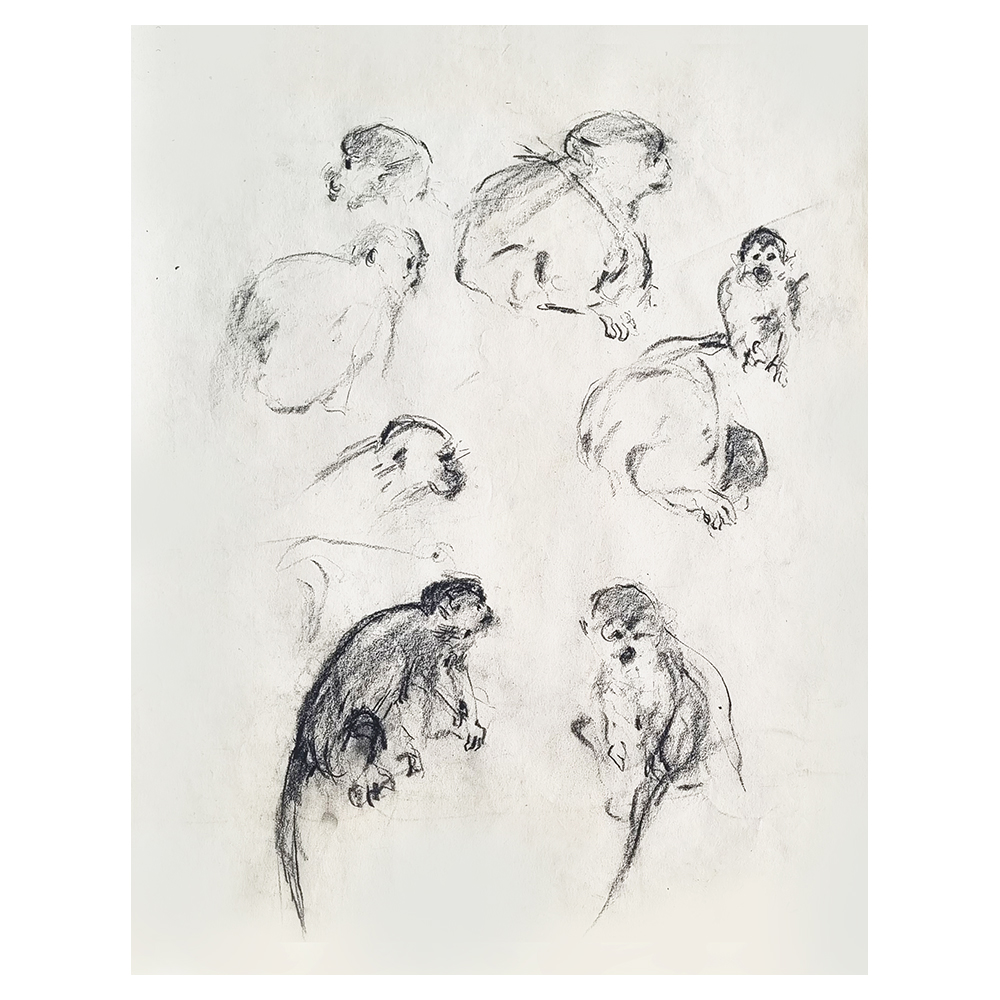 Study of moonkeys / Etude de singes / Bosquejo de monos (1987)