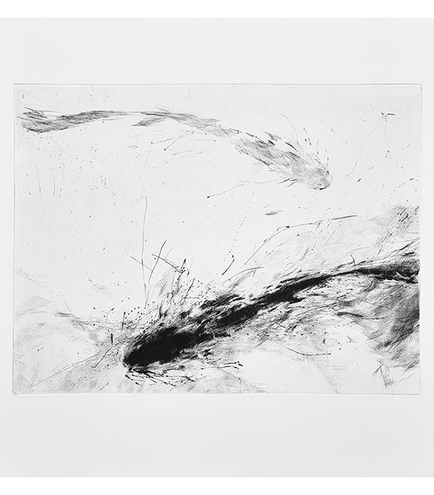 Miraculous Draught II (2013)