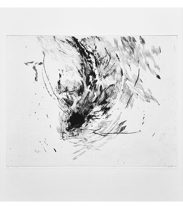 Miraculous Draught III (2013)