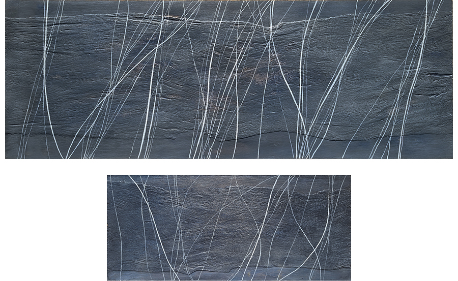 LIfe Lines X + XIII (2010)