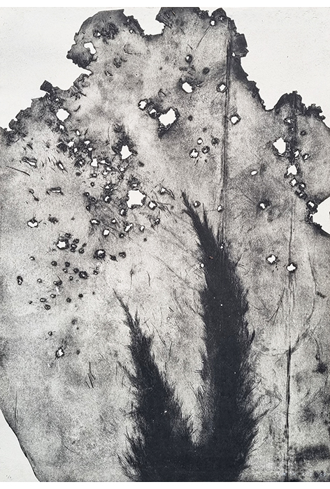 Entre nord et sud III (2009)