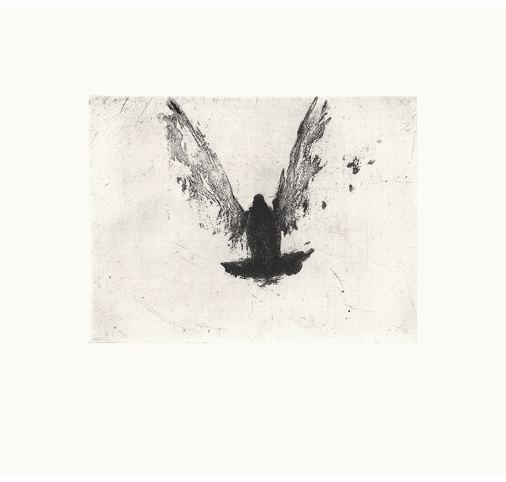 Paloma II (2002)
