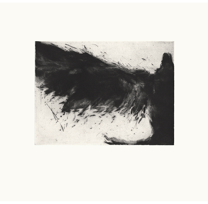 Paloma VI (2007)