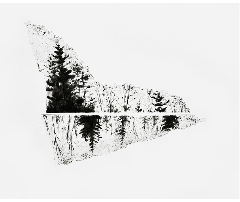 Pine Trees III (2023)
